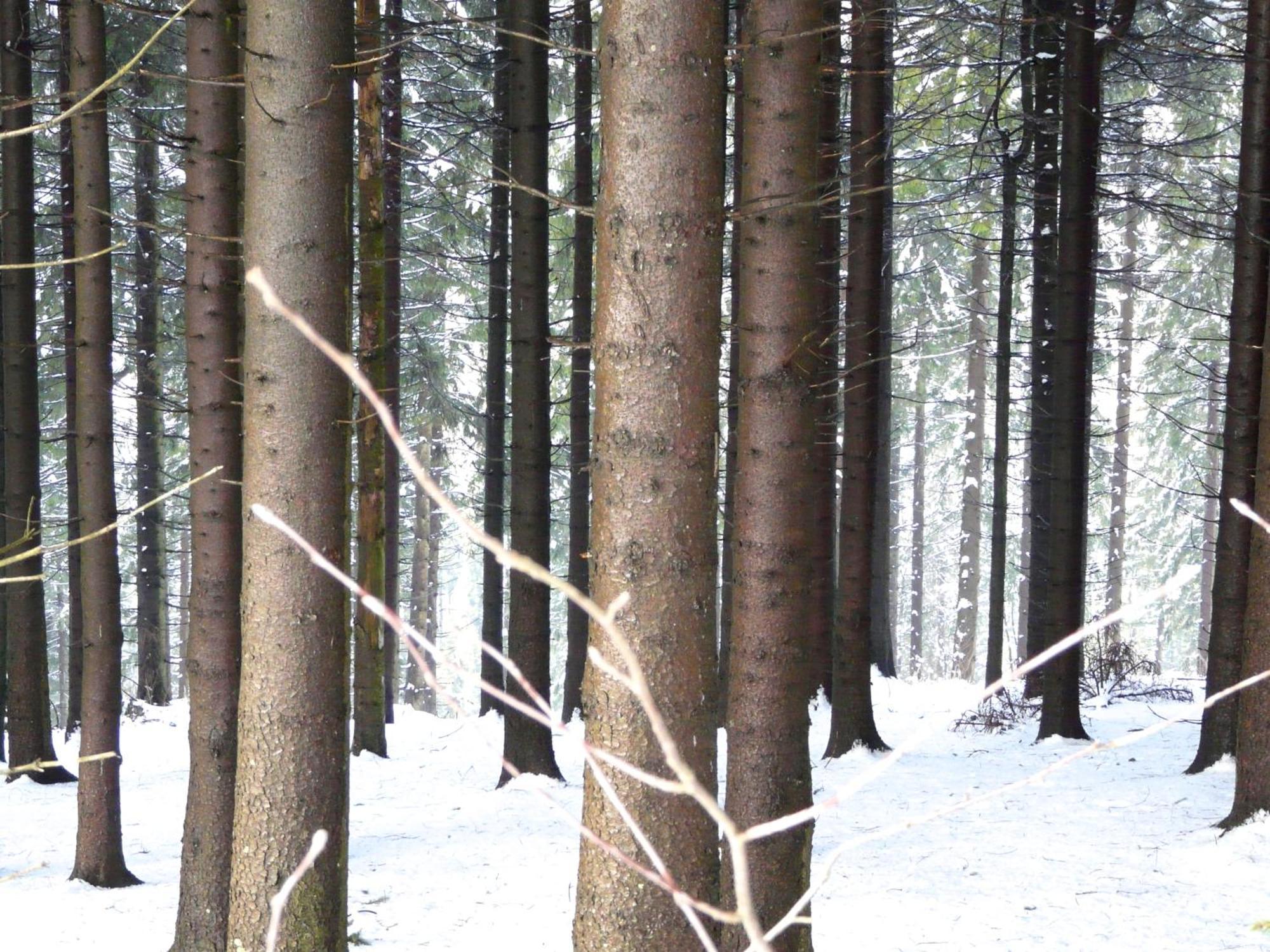 Vakantiehuis Landfein Big Winterberg