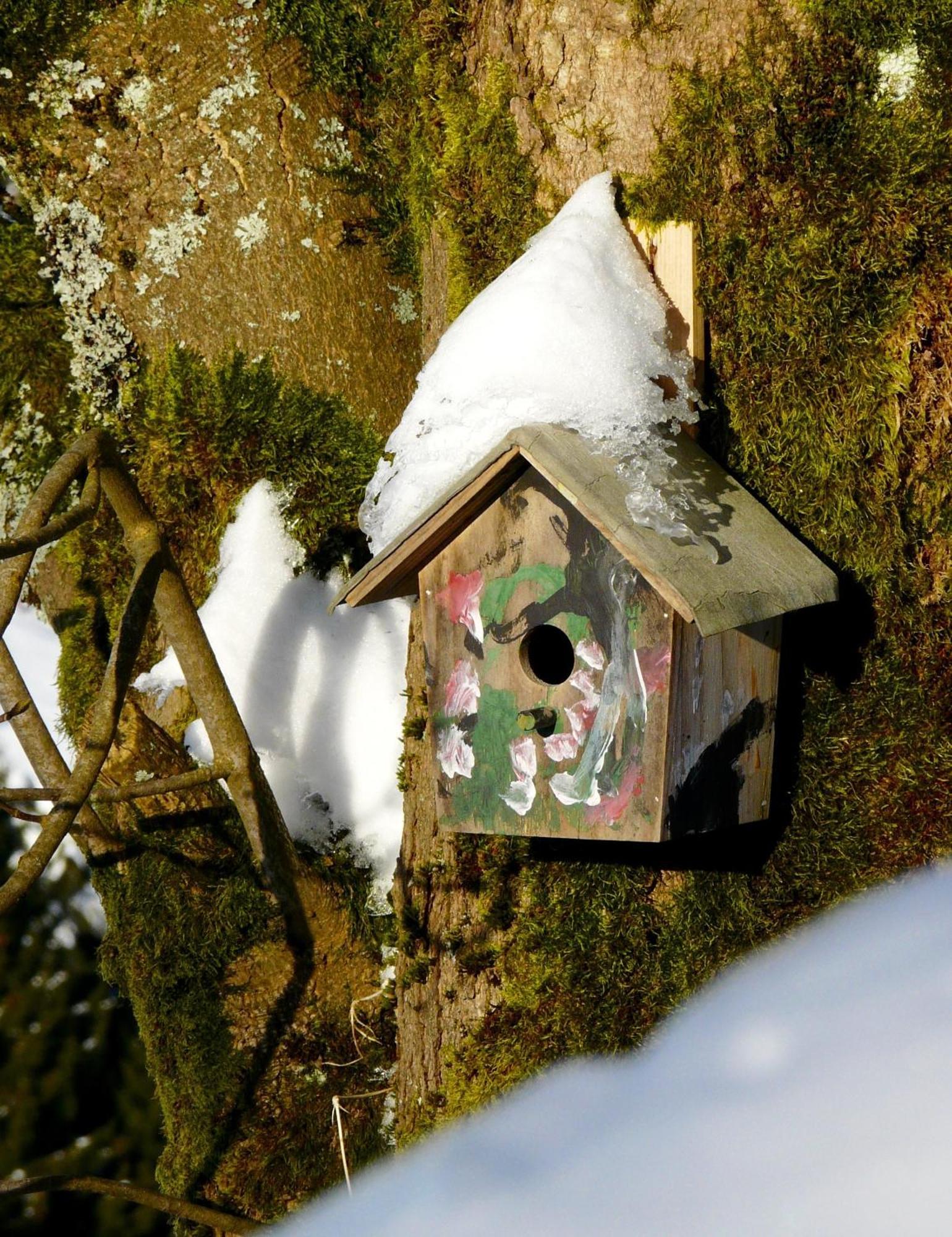 Landfein Big Ferienhaus *